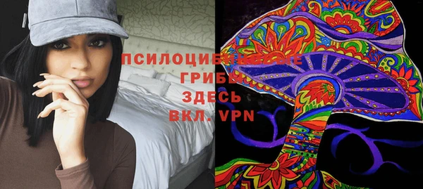 MDMA Няндома