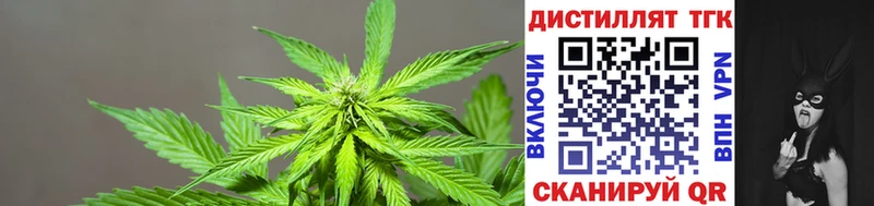 Дистиллят ТГК вейп с тгк Аткарск